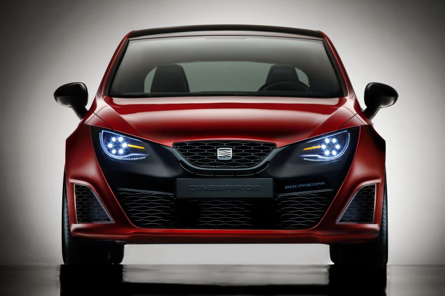  Seat Bocanegra 2008 года  (фото 13 из 15)